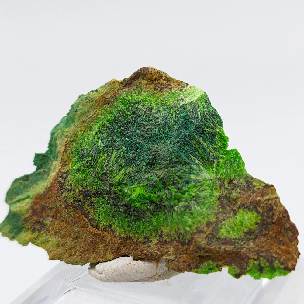 URANIUM CUPROSKLODOWSKITE – Uranium Silicate Crystal from Congo