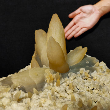 CALCITE – Flower-Shaped Cluster, 100+ UV-Fluorescent Crystals, Iraí, Brazil