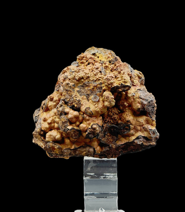 GOETHITE – Iridescent Botryoidal Specimen, Su Zurfuru Mine, Sardinia, Italy