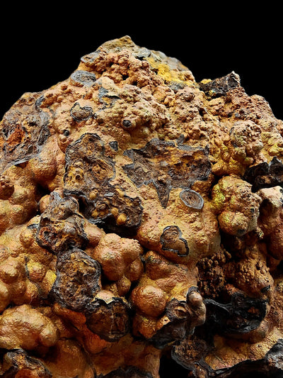 Close-up of globular goethite crust showing golden-brown and black botryoidal crystals