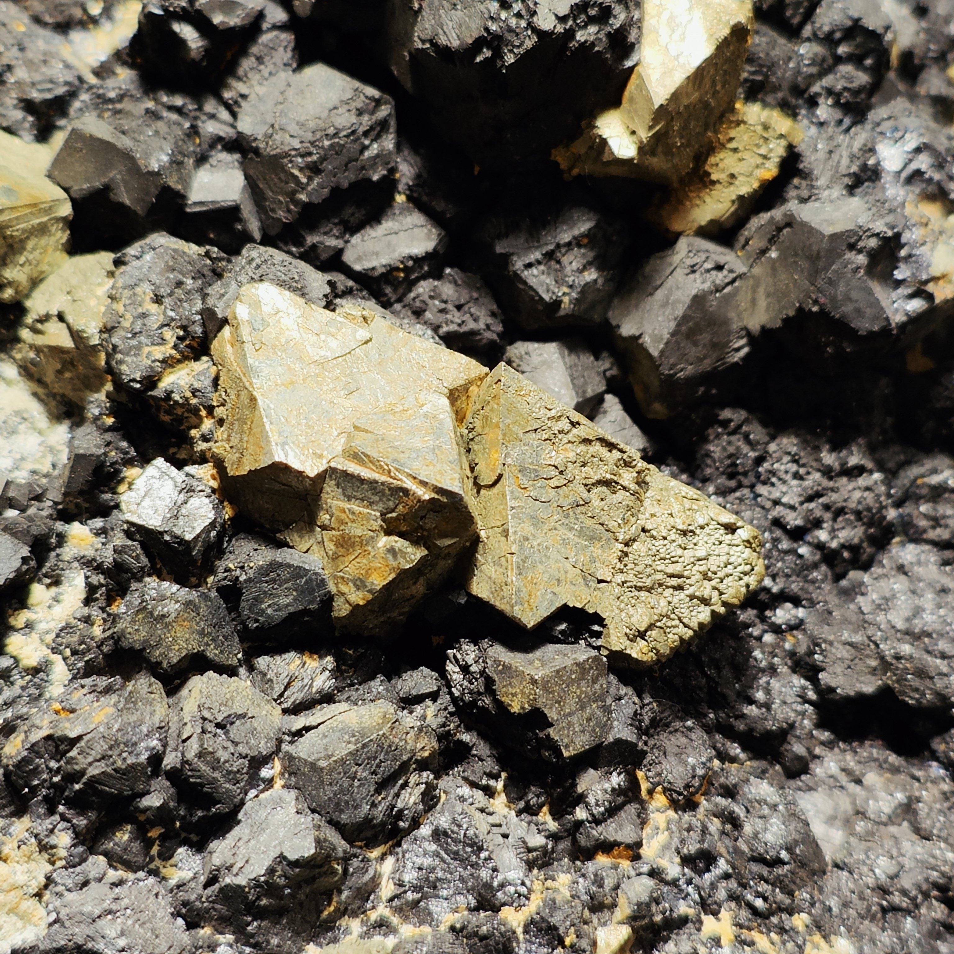 PYRITE & MAGNETITE – Antique 1800s Specimen, Big Crystals, Brosso Mine, Italy