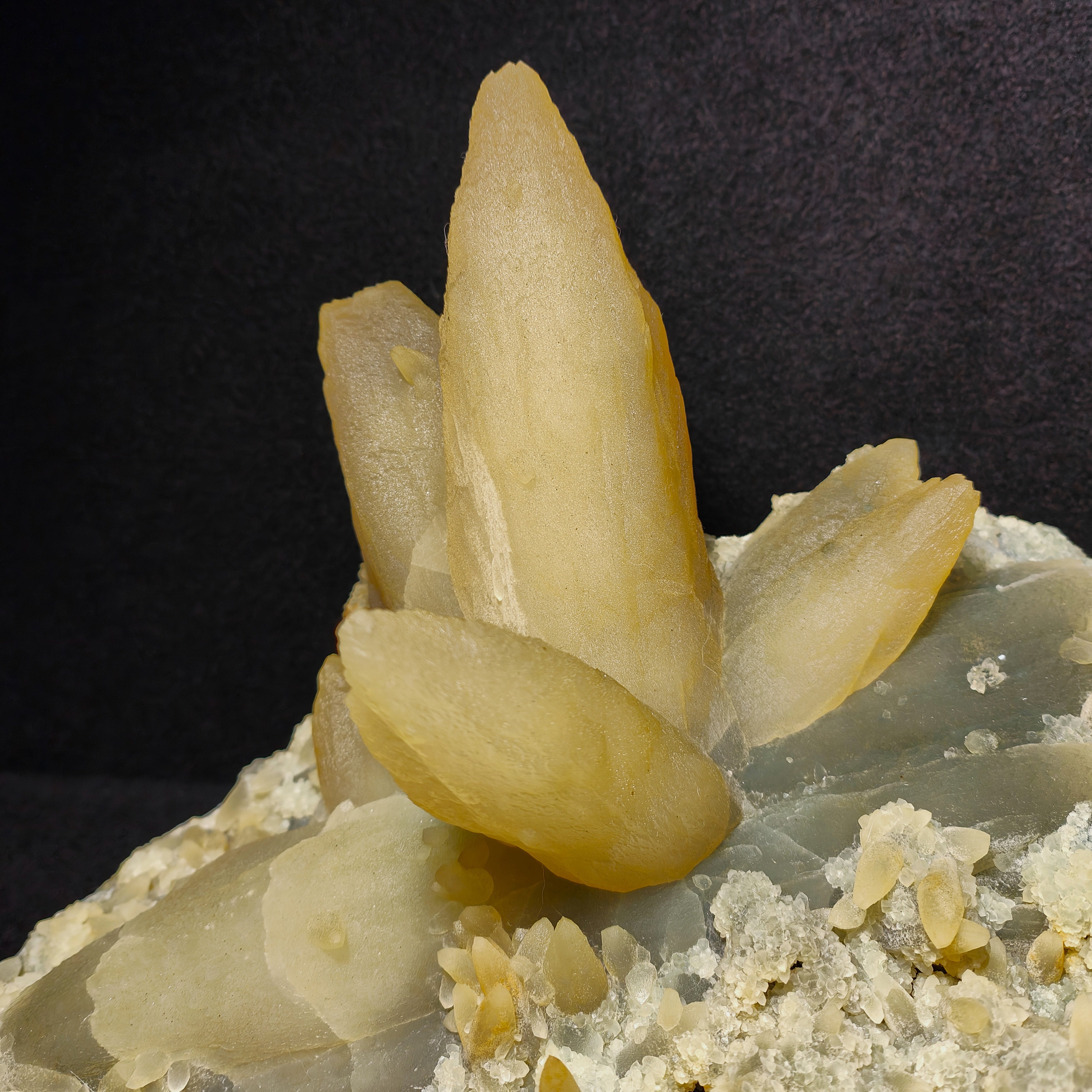 CALCITE – Flower-Shaped Cluster, 100+ UV-Fluorescent Crystals, Iraí, Brazil