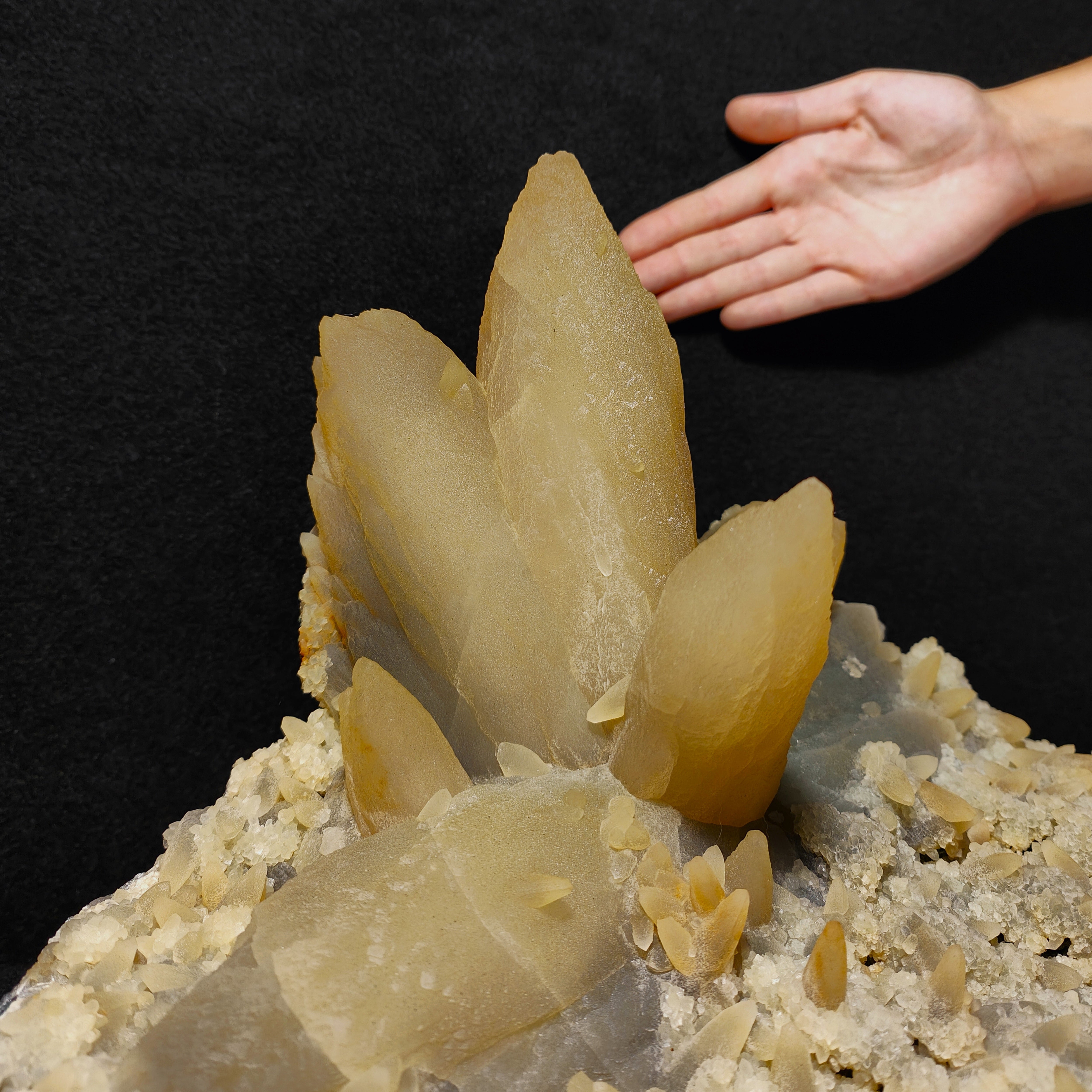 CALCITE – Flower-Shaped Cluster, 100+ UV-Fluorescent Crystals, Iraí, Brazil