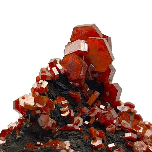 TOP & Aesthetic Mineral Specimens