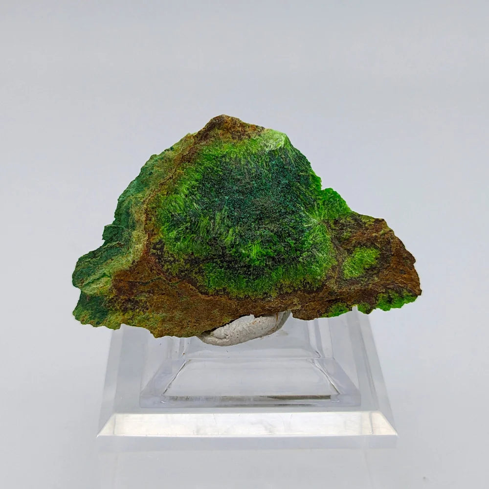 URANIUM CUPROSKLODOWSKITE – Uranium Silicate Crystal from Congo – Rare Mineral
