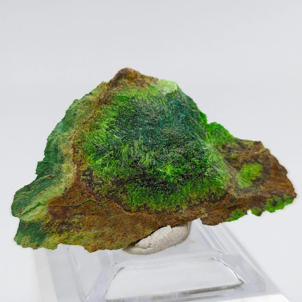 URANIUM CUPROSKLODOWSKITE – Uranium Silicate Crystal from Congo – Rare Mineral
