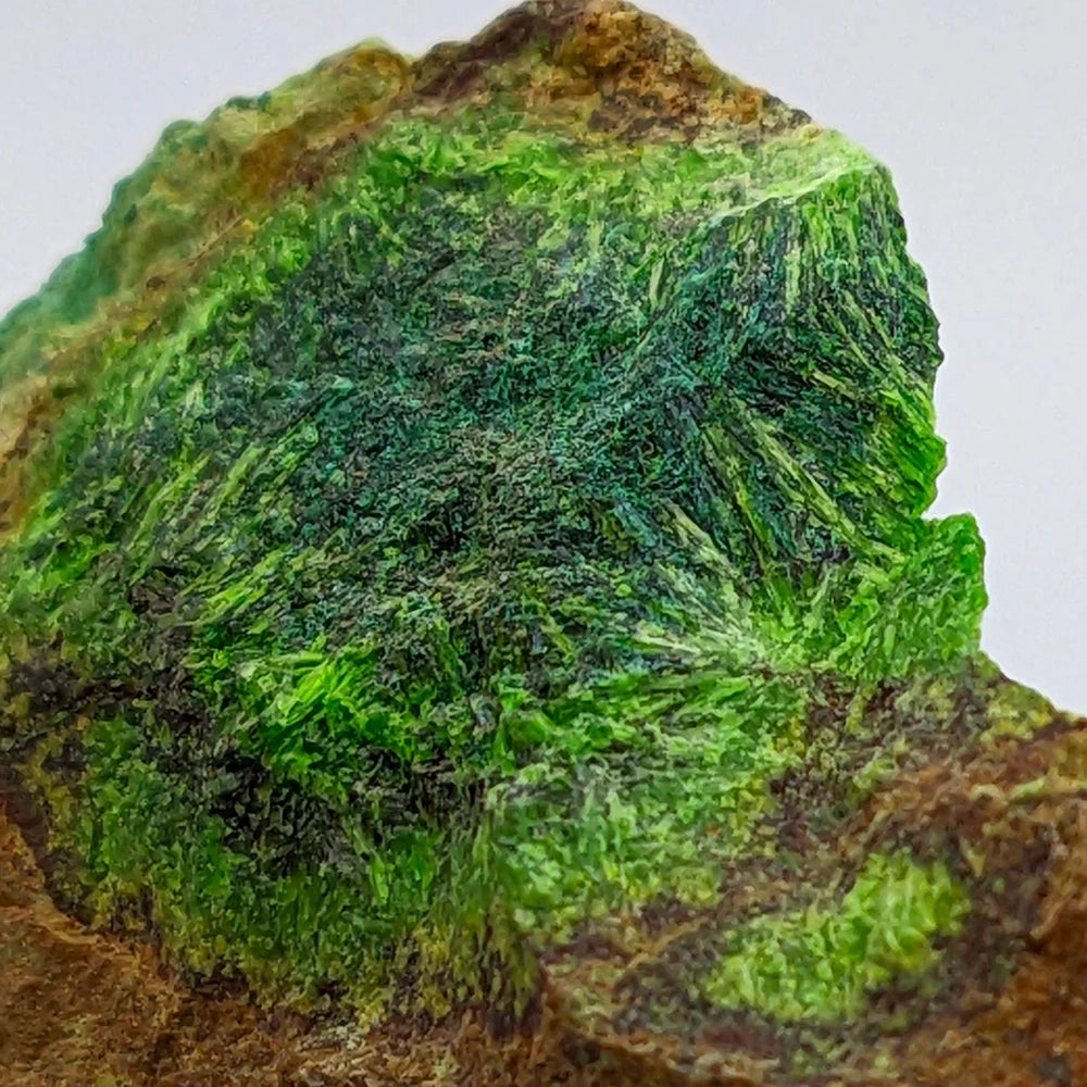 URANIUM CUPROSKLODOWSKITE – Uranium Silicate Crystal from Congo – Rare Mineral