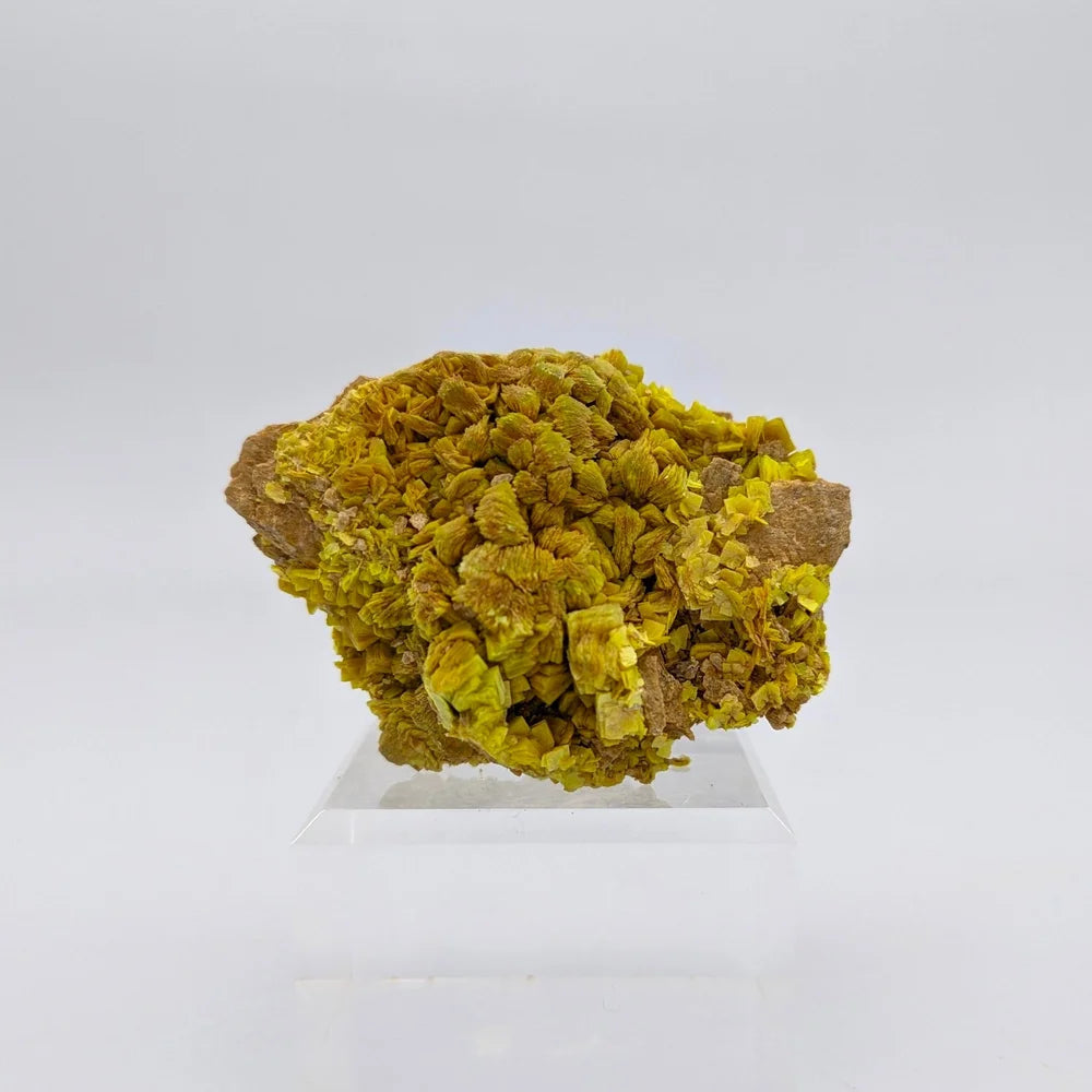 URANIUM AUTUNITE – Yellow Crystal from Cuneo, Italy – Extremely Rare