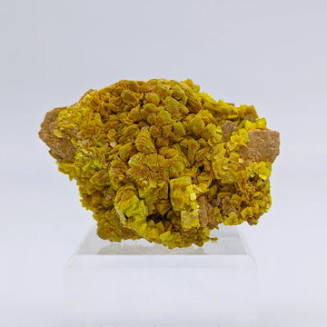 URANIUM AUTUNITE – Yellow Crystal from Cuneo, Italy – Extremely Rare