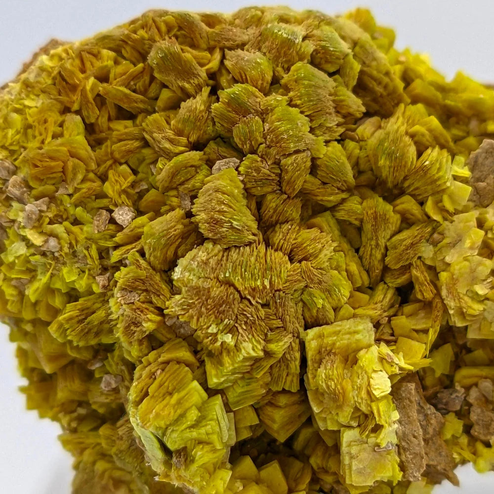 URANIUM AUTUNITE – Yellow Crystal from Cuneo, Italy – Extremely