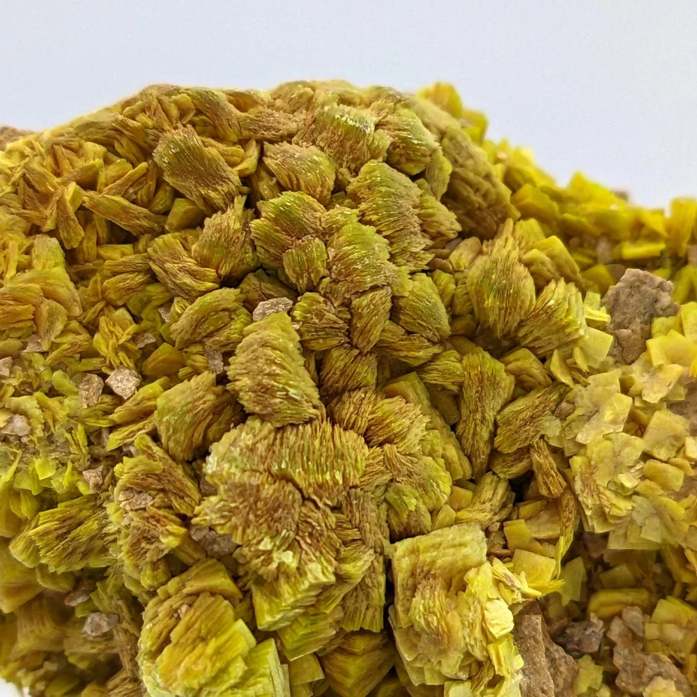 URANIUM AUTUNITE – Yellow Crystal from Cuneo, Italy – Extremely Rare