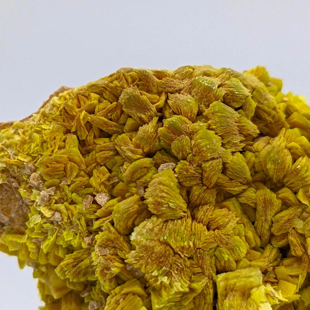 URANIUM AUTUNITE – Yellow Crystal from Cuneo, Italy – Extremely Rare