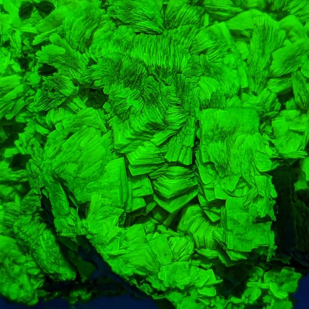 URANIUM AUTUNITE – Yellow Crystal from Cuneo, Italy – Extremely Rare