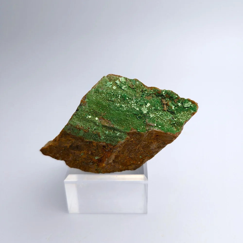 URANIUM AUTUNITE – Radioactive Green Crystals from France – Rare Specimen