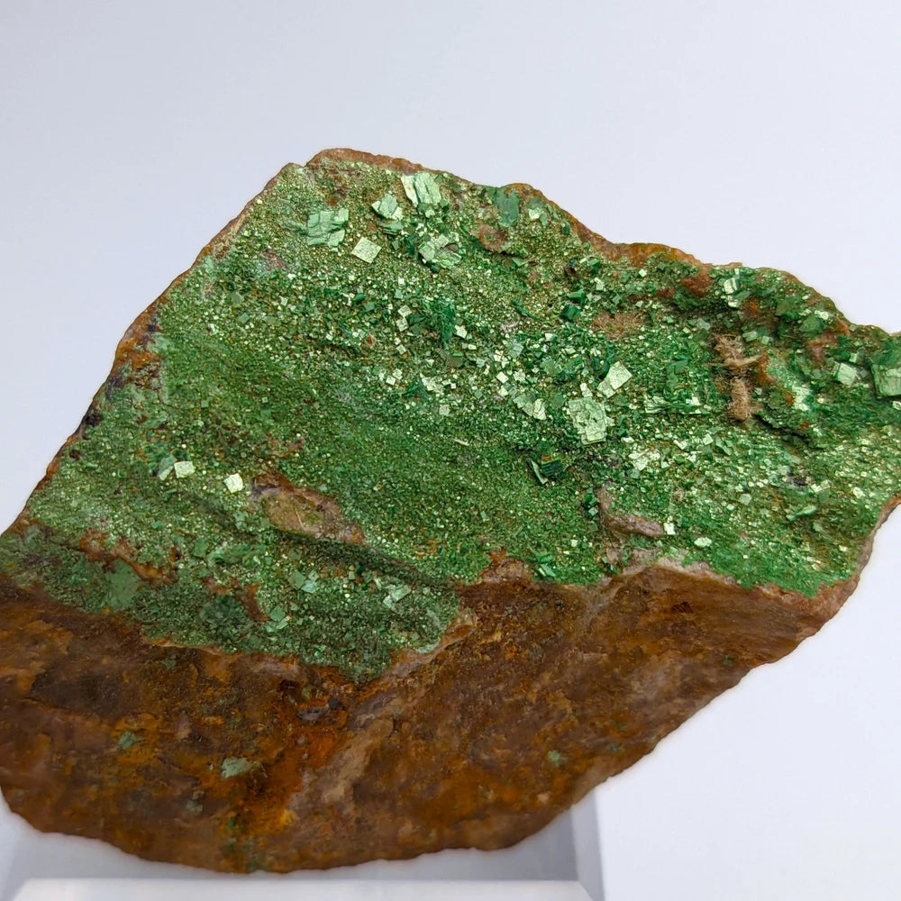 URANIUM AUTUNITE – Radioactive Green Crystals from France – Rare Specimen
