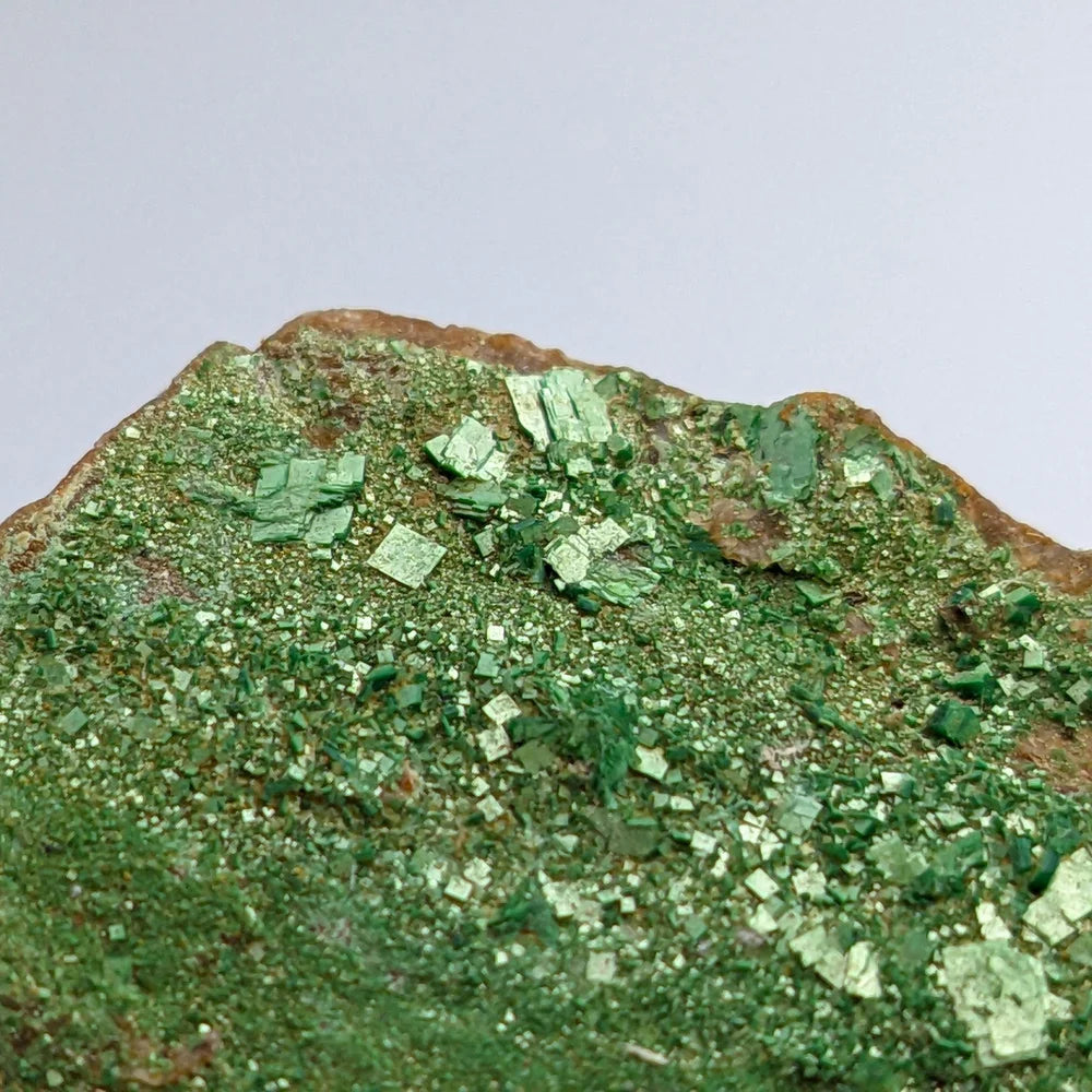 URANIUM AUTUNITE – Radioactive Green Crystals from France – Rare Specimen