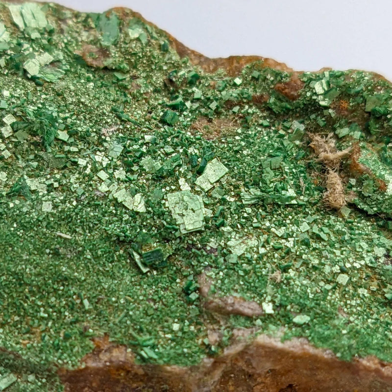 URANIO: Rara AUTUNITE VERDE dalla Francia