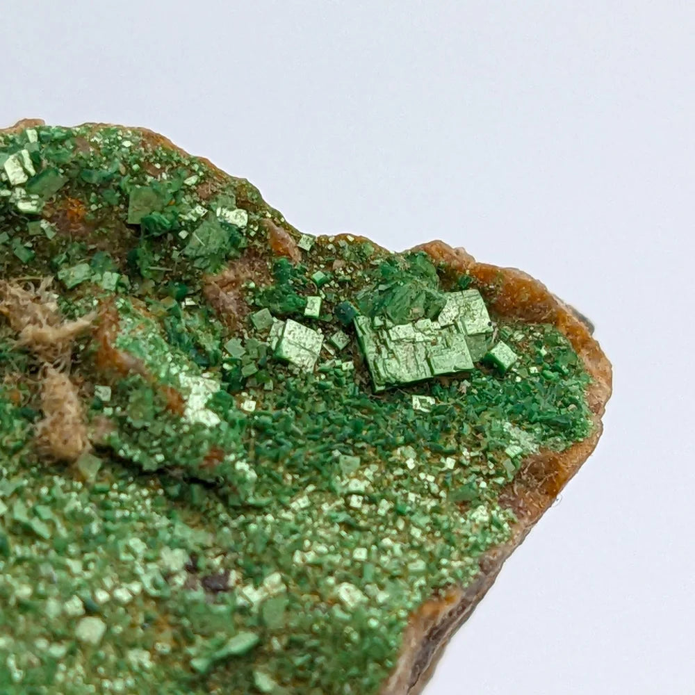 URANIUM AUTUNITE – Radioactive Green Crystals from France – Rare Specimen