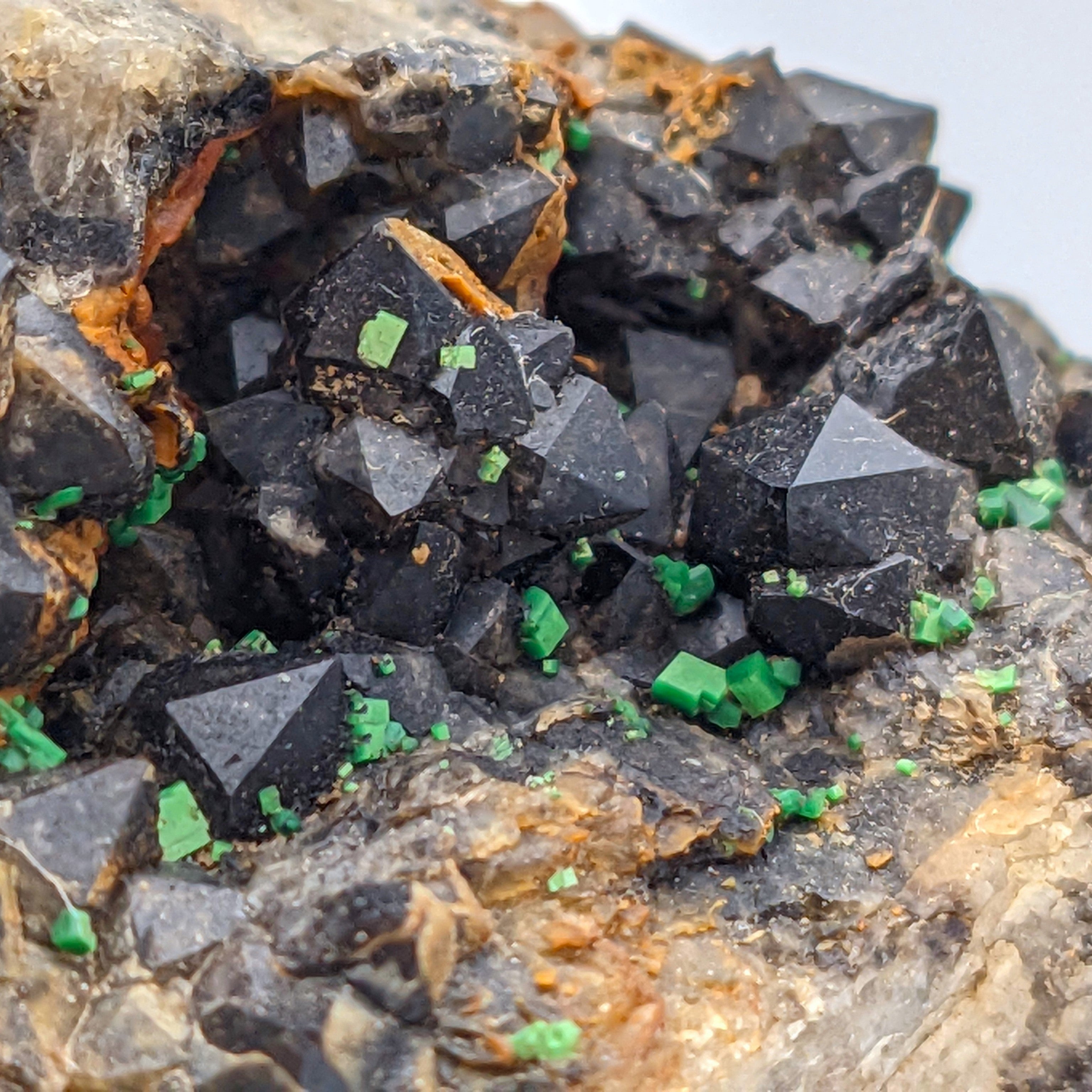 URANIUM TORBERNITE & MORION QUARTZ – Rare Green Crystals with Black Quartz, France