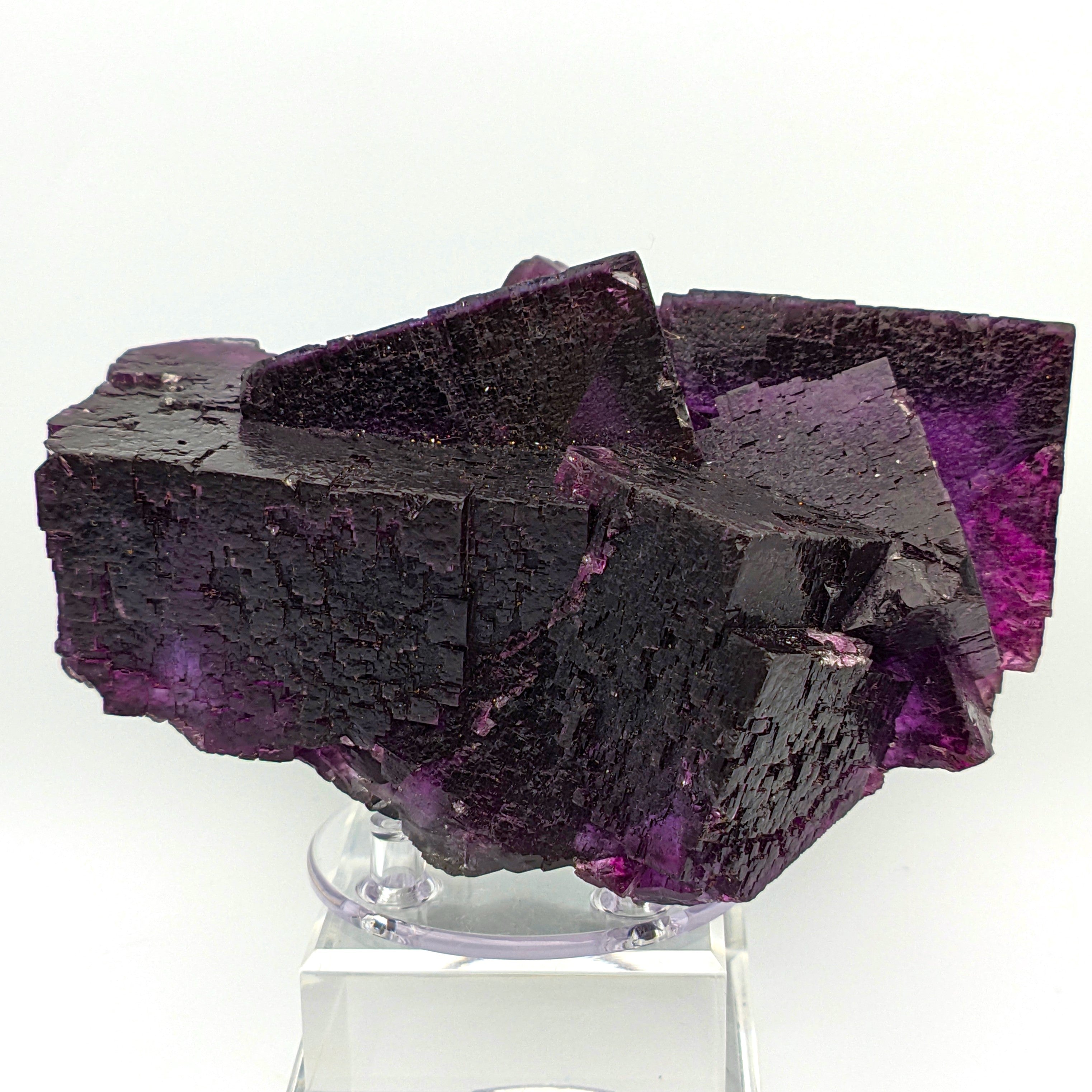 FLUORITE – Huge 15cm Purple Crystals, Annabel Lee Mine, Illinois, USA