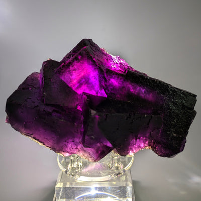 Fluorite crystals showing vivid magenta color under light, Hardin County, Illinois