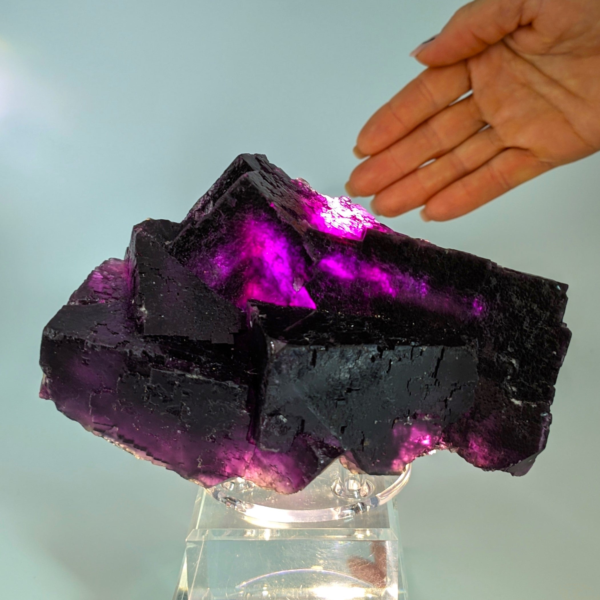 FLUORITE – Huge 15cm Purple Crystals, Annabel Lee Mine, Illinois, USA