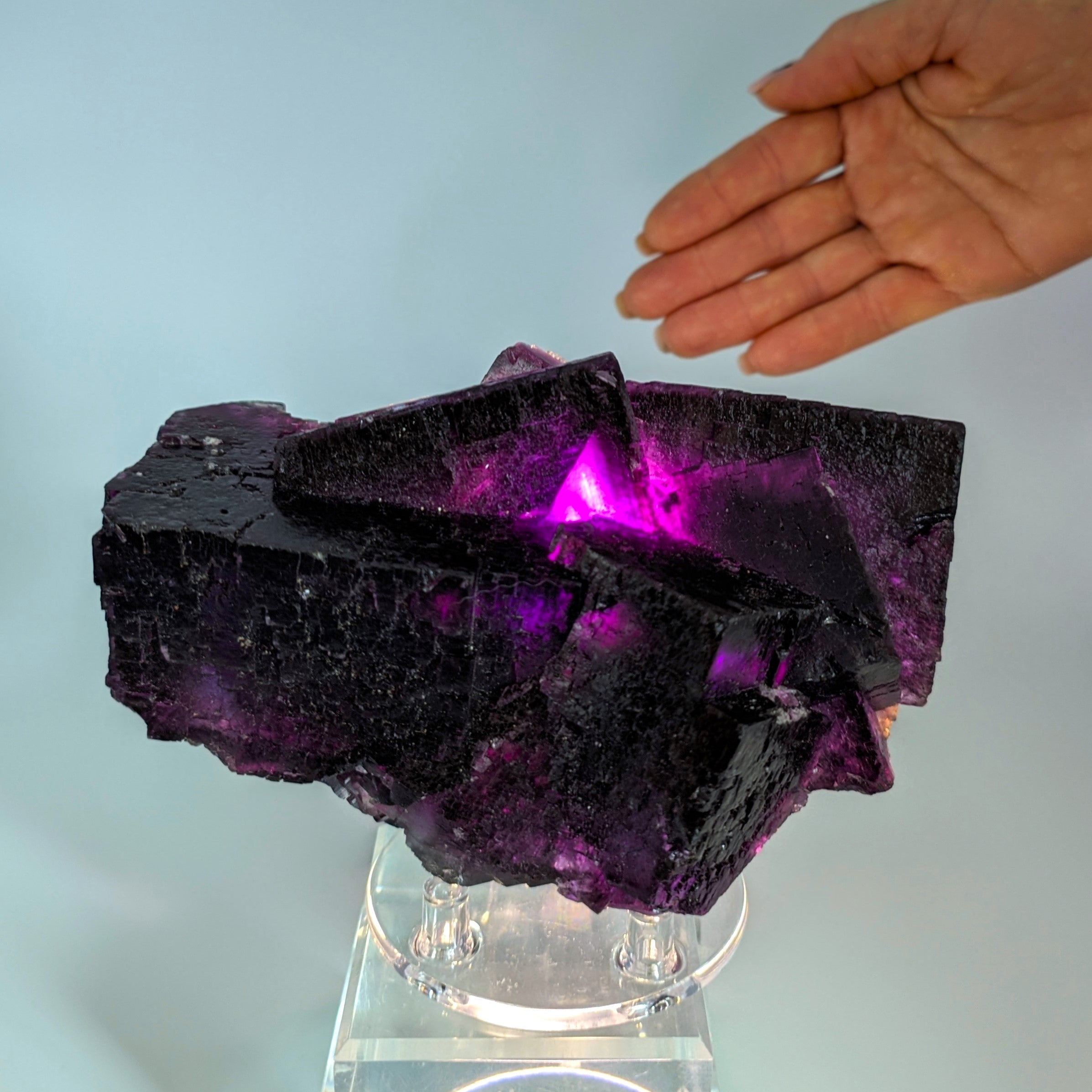 FLUORITE – Huge 15cm Purple Crystals, Annabel Lee Mine, Illinois, USA