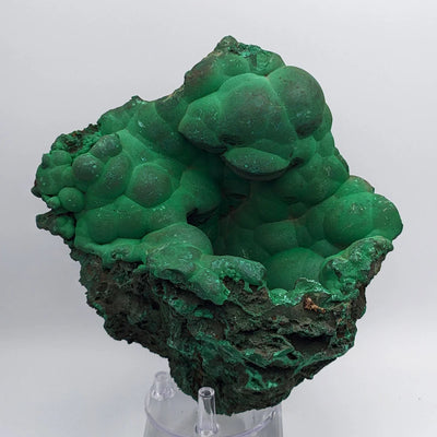 Malachite geode with raw matrix base and botryoidal crystal crust