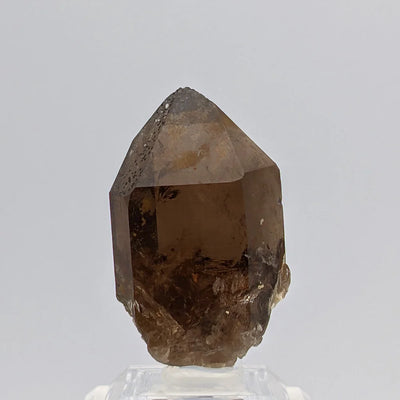 Smoky quartz crystal displayed upright on acrylic stand, Val Giuv, Switzerland