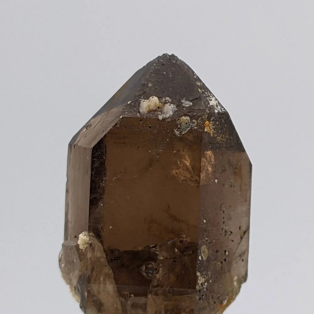 SMOKY QUARTZ – Aesthetic Crystal from Swiss Alps – Dark Smoky Variety