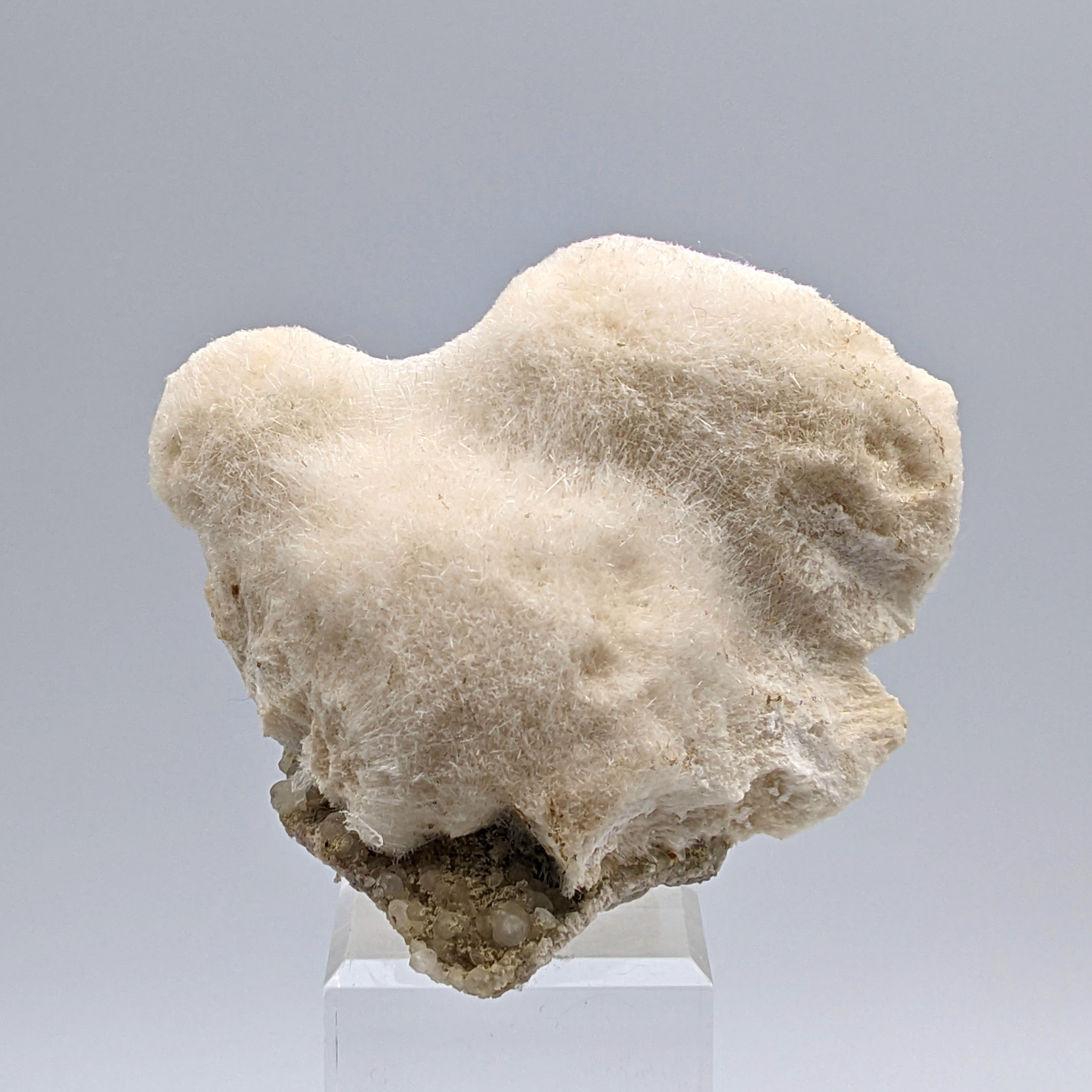 MESOLITE – Thousands of Crystals, Furry Mantle, New Jersey, USA