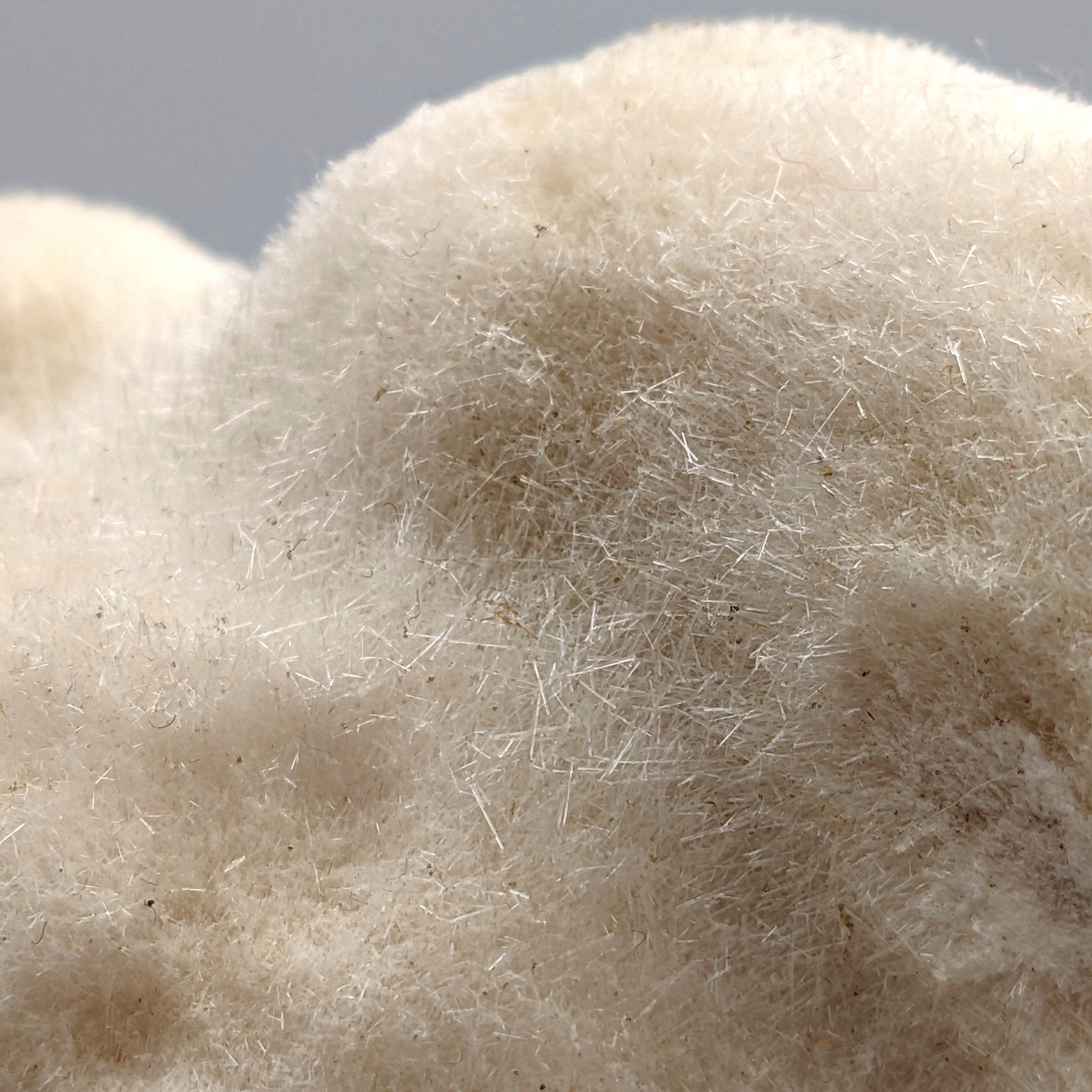 MESOLITE – Thousands of Crystals, Furry Mantle, New Jersey, USA