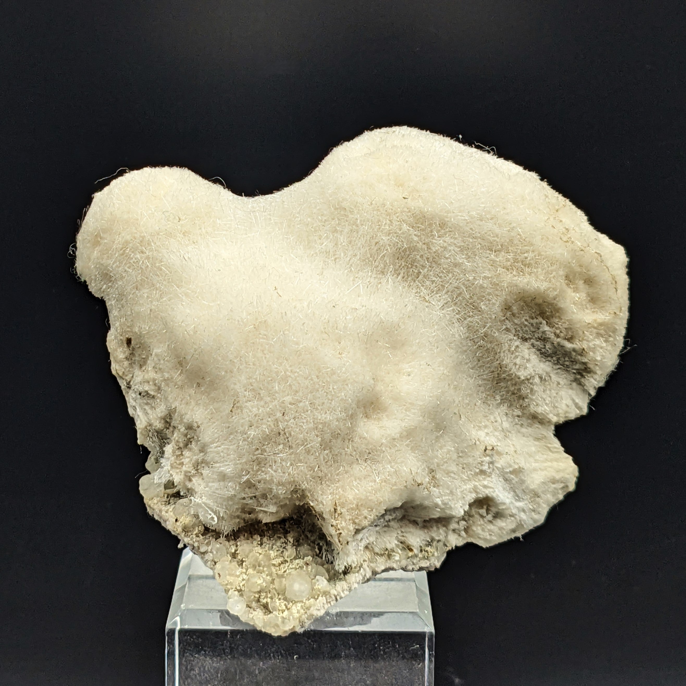 MESOLITE – Thousands of Crystals, Furry Mantle, New Jersey, USA