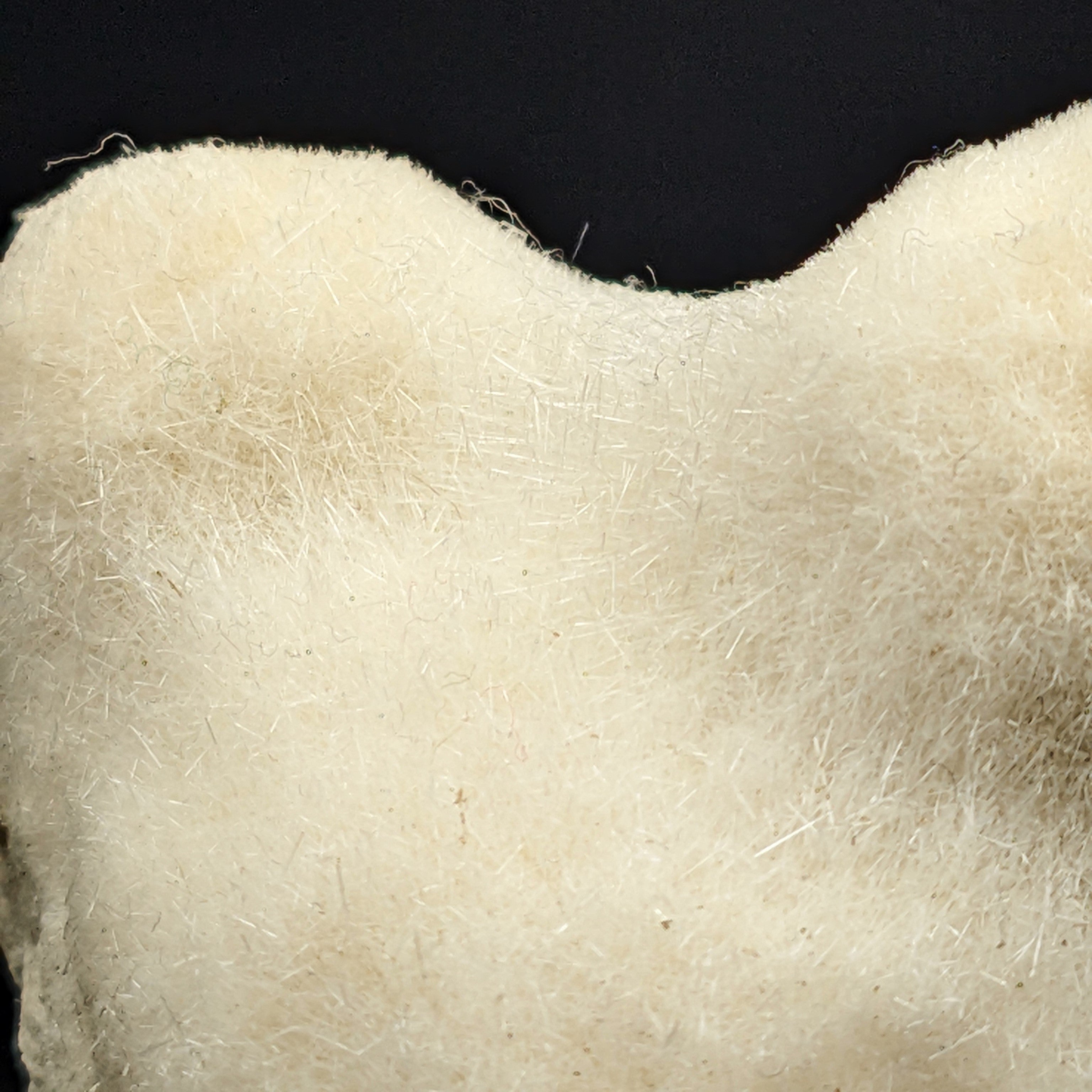 MESOLITE – Thousands of Crystals, Furry Mantle, New Jersey, USA