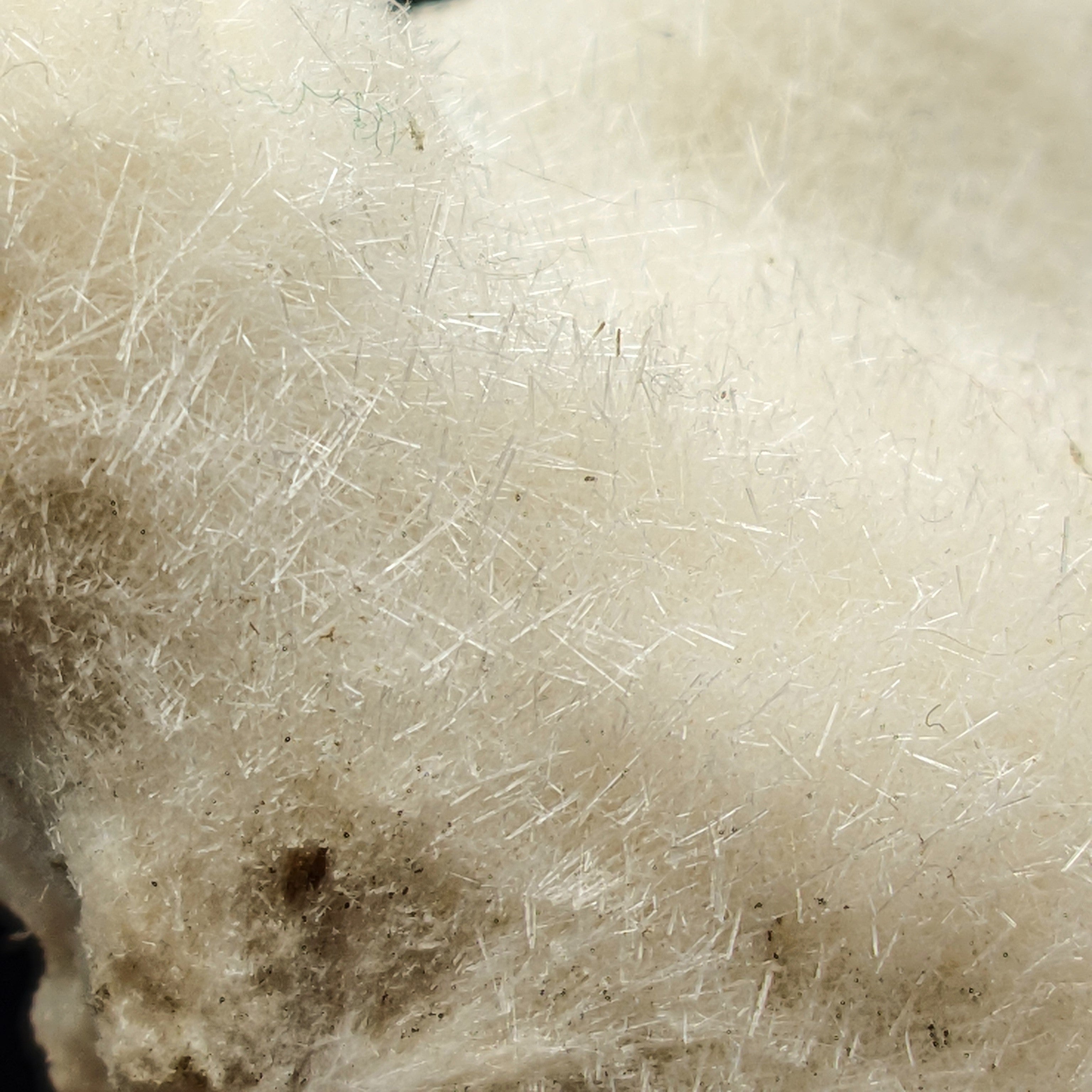 MESOLITE – Thousands of Crystals, Furry Mantle, New Jersey, USA