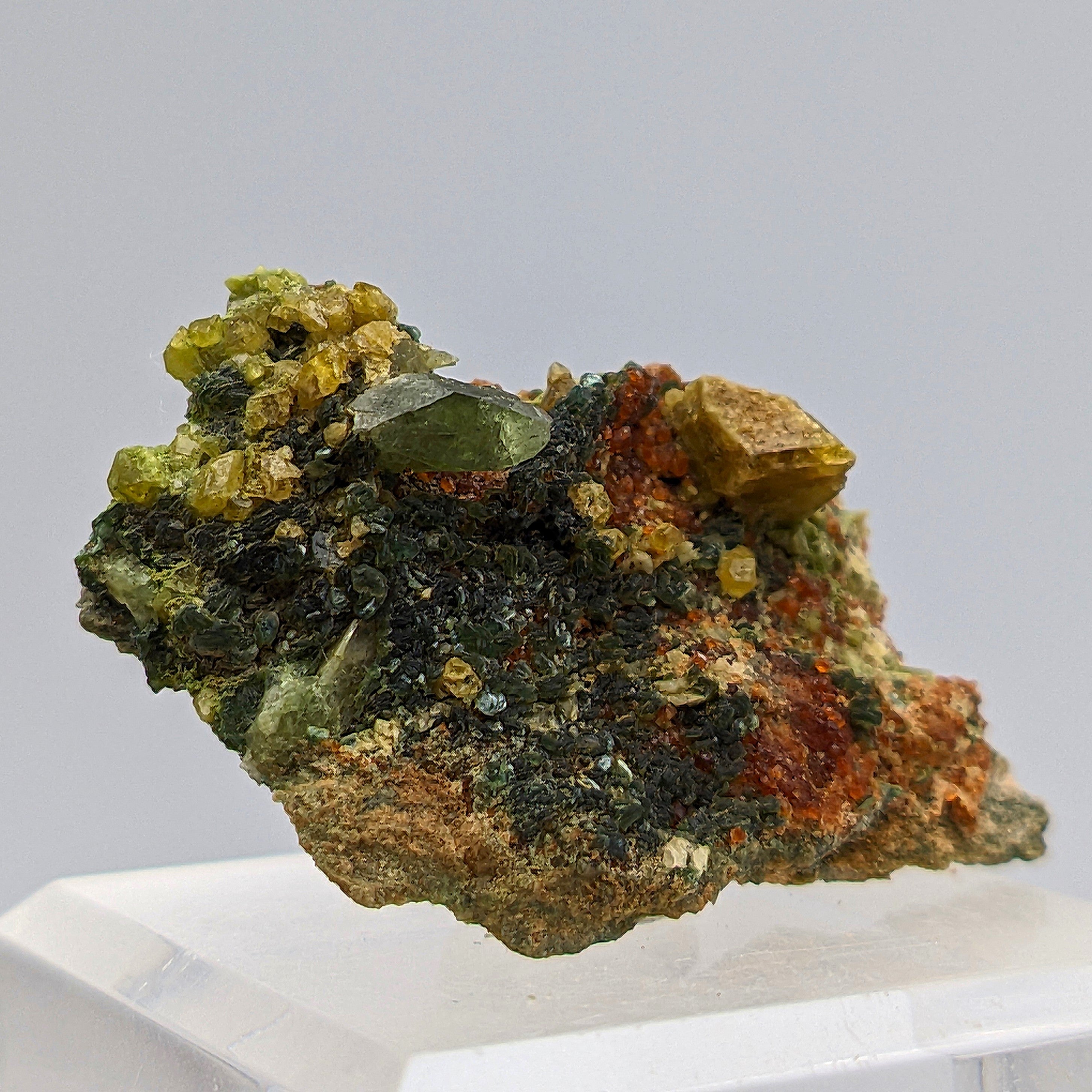 TITANITE, DIOPSIDE, CLINOZOISITE & CLINOCHLORE – Rare Find, Bellecombe, Italy