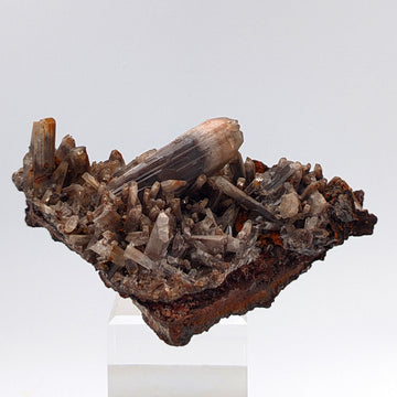 HEMIMORPHITE – Historic 5cm Crystals, Ojuela Mine, Durango, Mexico