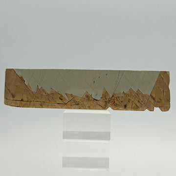 PAESINA – Natural Landscape Stone Slice, Upper Valdarno, Tuscany, Italy