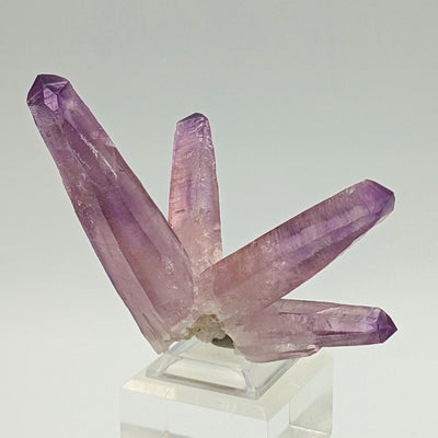 Amethyst crystal cluster on matrix showing translucent violet-pink hues, Piedra Parada, Veracruz, Mexico