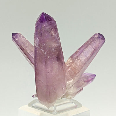 Close-up of elongated amethyst crystals showing prismatic faces, Piedra Parada, Veracruz, Mexico