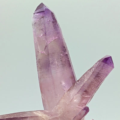 Close-up of amethyst crystal tips showing violet coloration, Piedra Parada, Veracruz, Mexico