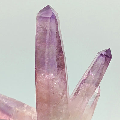 Macro view of amethyst crystal terminations showing violet-pink zoning, Piedra Parada, Veracruz, Mexico