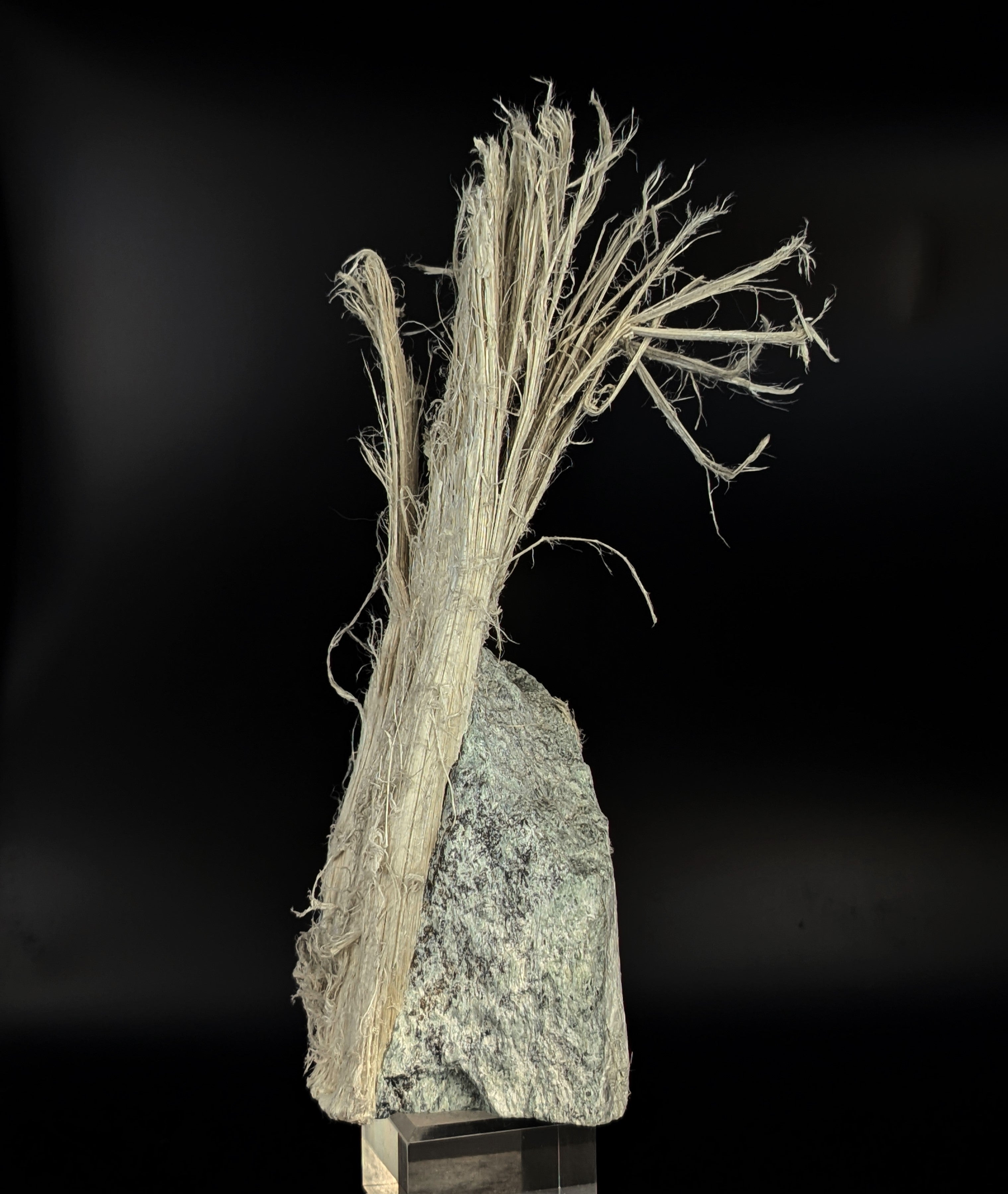 CHRYSOTILE ASBESTOS – Huge 22cm Fibrous Tuft on Matrix, Valmalenco, Italy