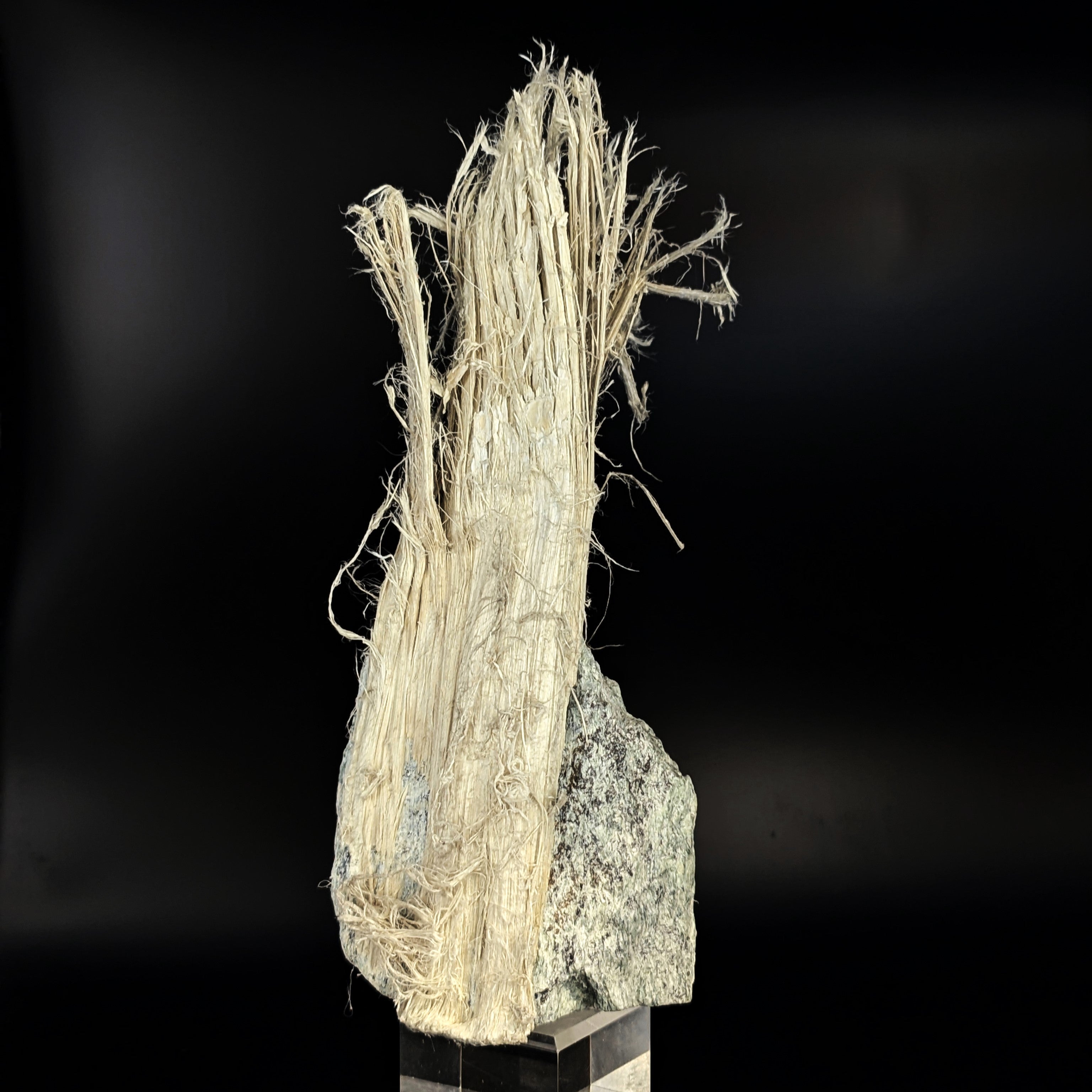 CHRYSOTILE ASBESTOS – Huge 22cm Fibrous Tuft on Matrix, Valmalenco, Italy