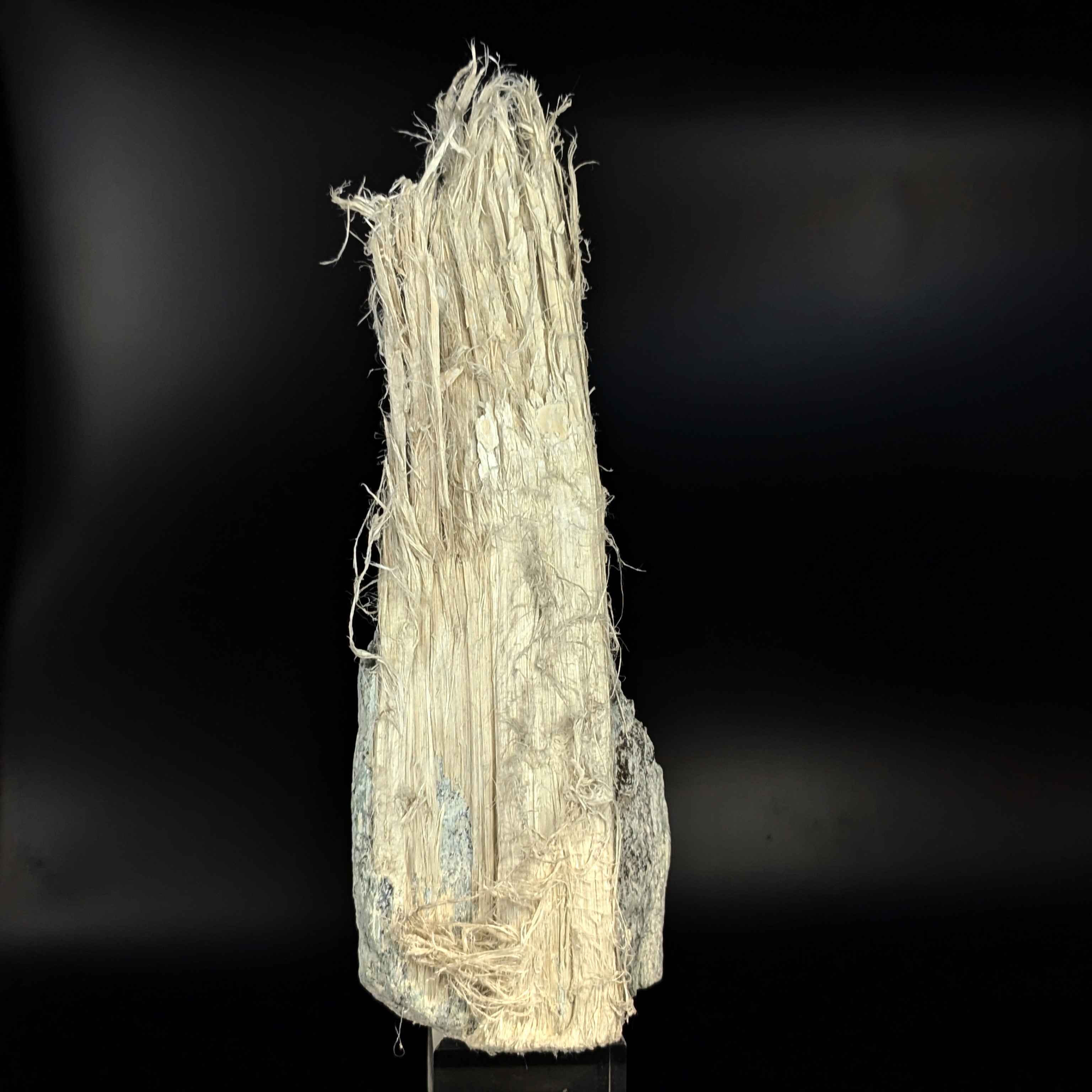 CHRYSOTILE ASBESTOS – Huge 22cm Fibrous Tuft on Matrix, Valmalenco, Italy