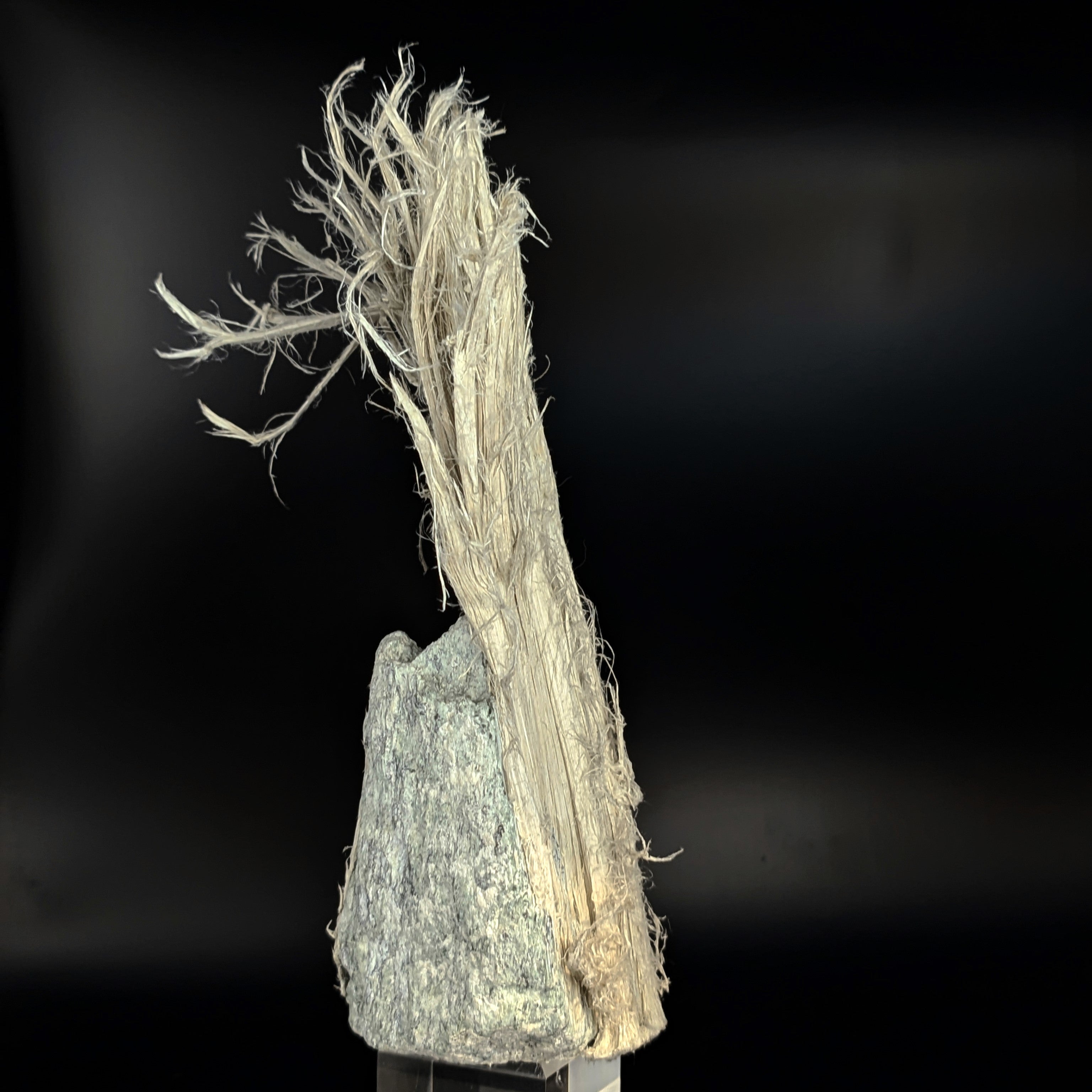 CHRYSOTILE ASBESTOS – Huge 22cm Fibrous Tuft on Matrix, Valmalenco, Italy