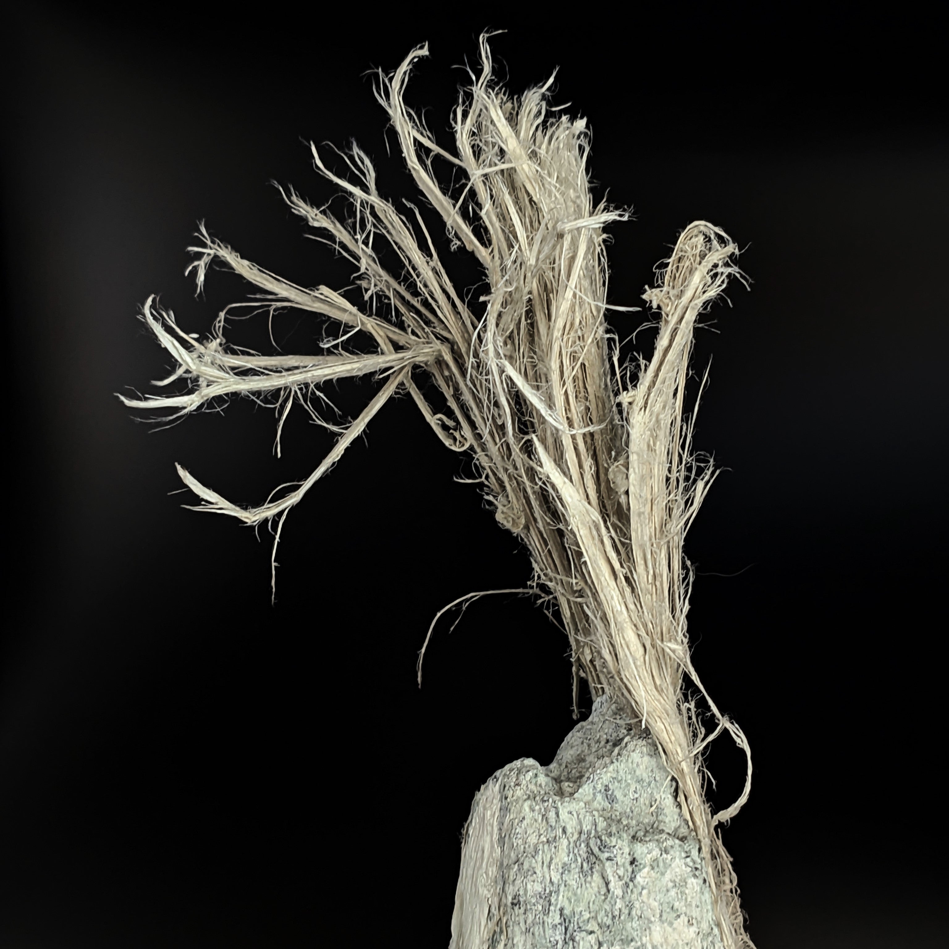 CHRYSOTILE ASBESTOS – Huge 22cm Fibrous Tuft on Matrix, Valmalenco, Italy