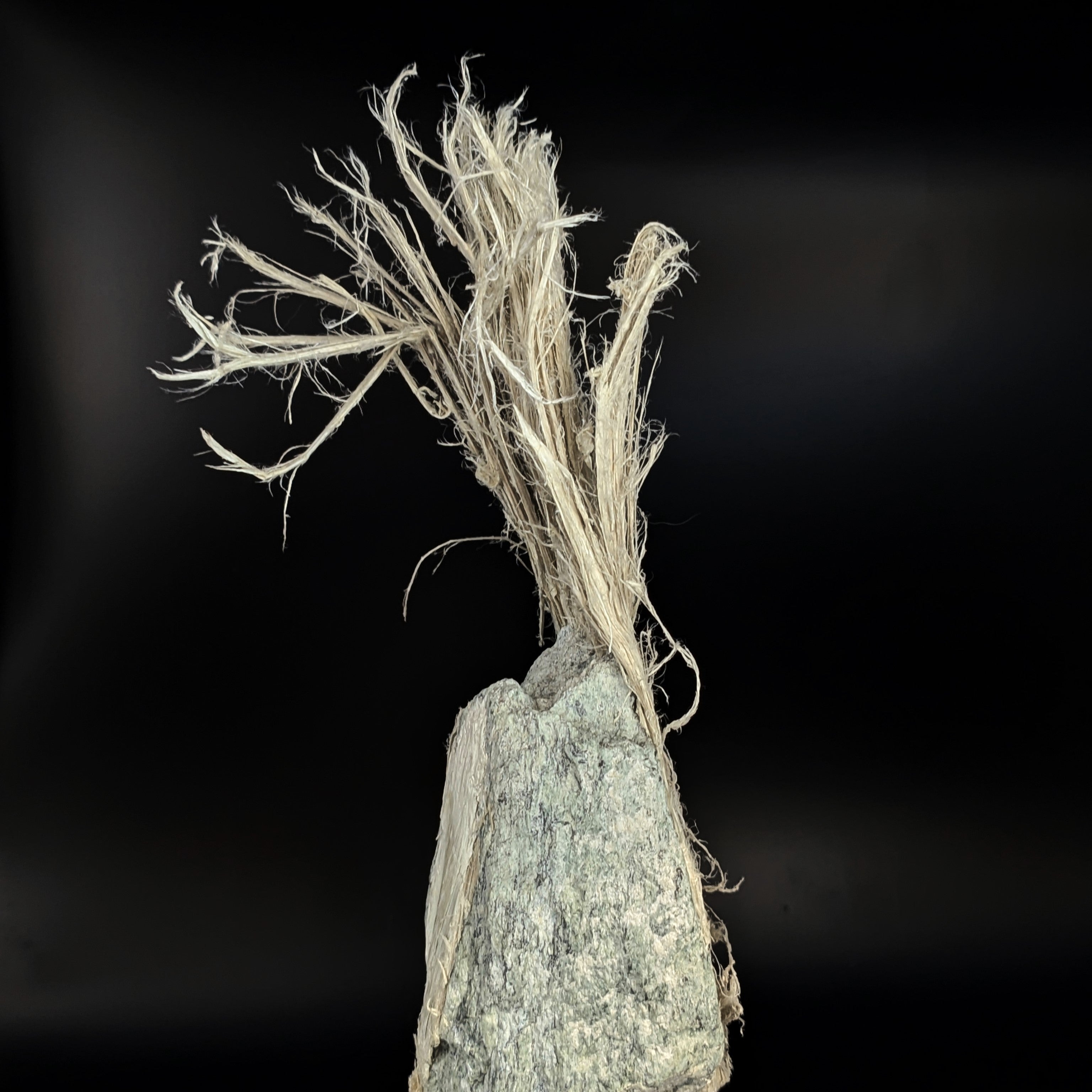 CHRYSOTILE ASBESTOS – Huge 22cm Fibrous Tuft on Matrix, Valmalenco, Italy