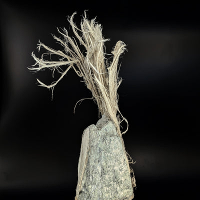 Top detail of chrysotile asbestos fibers emerging from matrix, Mt. Motta, Italy