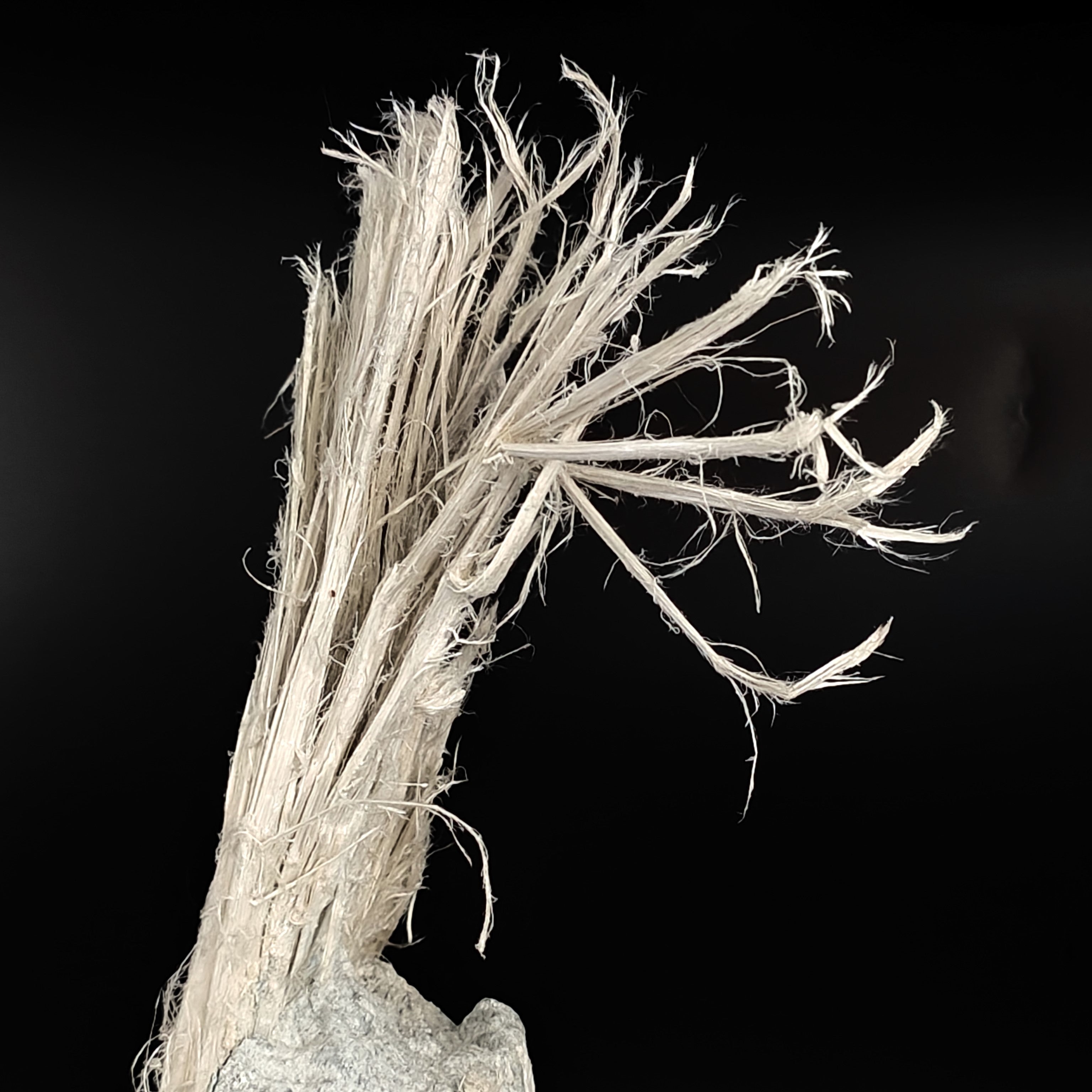 CHRYSOTILE ASBESTOS – Huge 22cm Fibrous Tuft on Matrix, Valmalenco, Italy